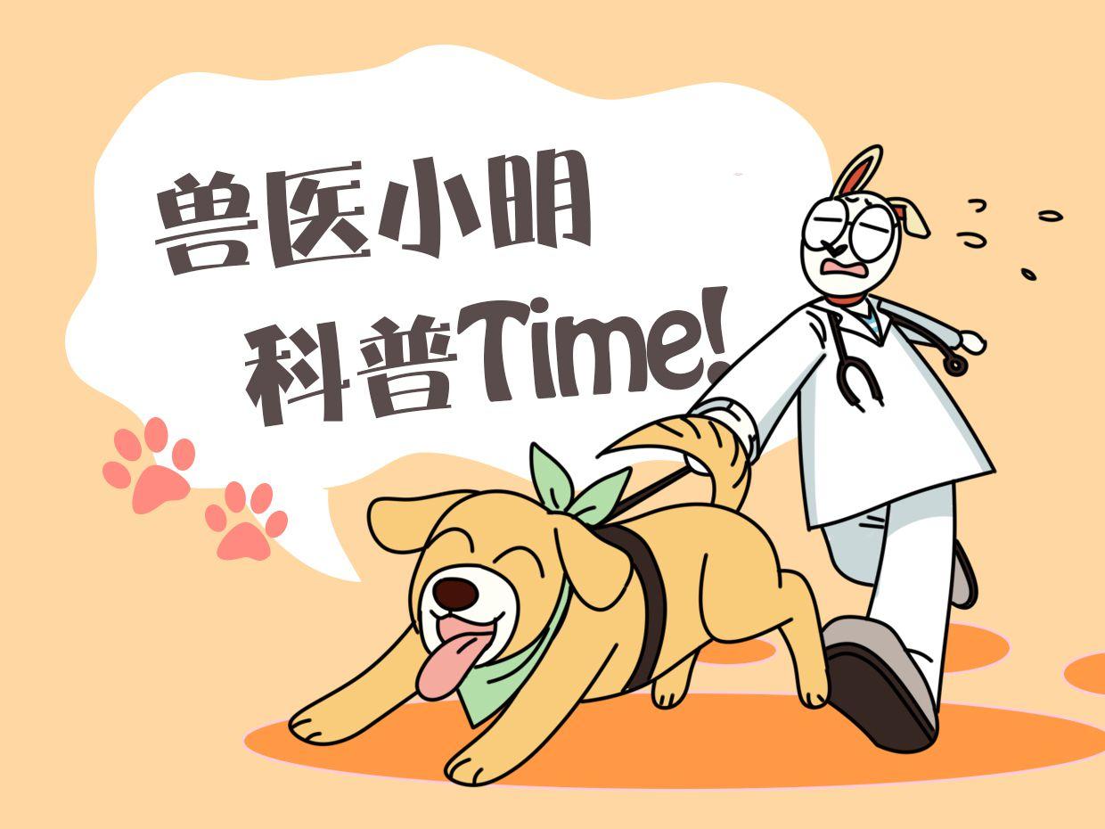 医疗护理服务 第300页