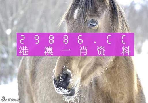 澳门一肖一码100%准确？,解析解释说法_调整版88.434