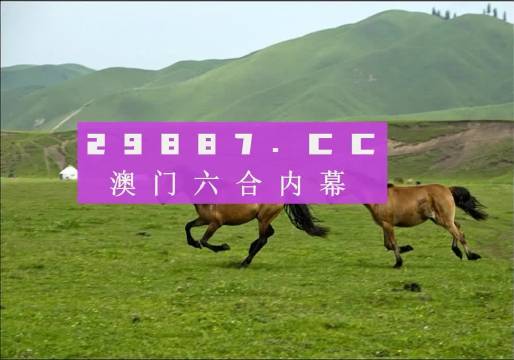 2024年7777788888新版跑狗图,实践数据分析评估_闪电版62.102