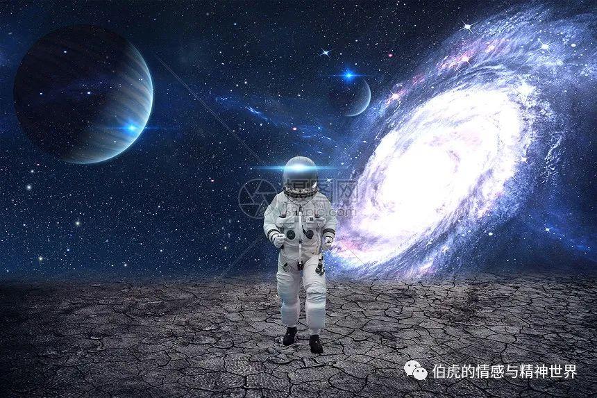 新演天天开奖资料大全,精细评估方案_时空版16.612
