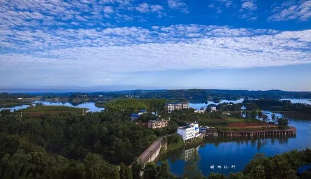 仁寿黑龙滩镇最新进展与动态更新