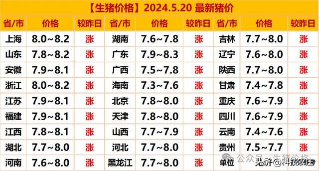 猪下半年行情展望，寻找内心的平静之旅