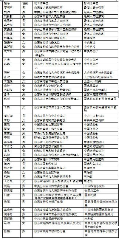 山东干部最新公示，科技引领未来，卓越体验升级之路
