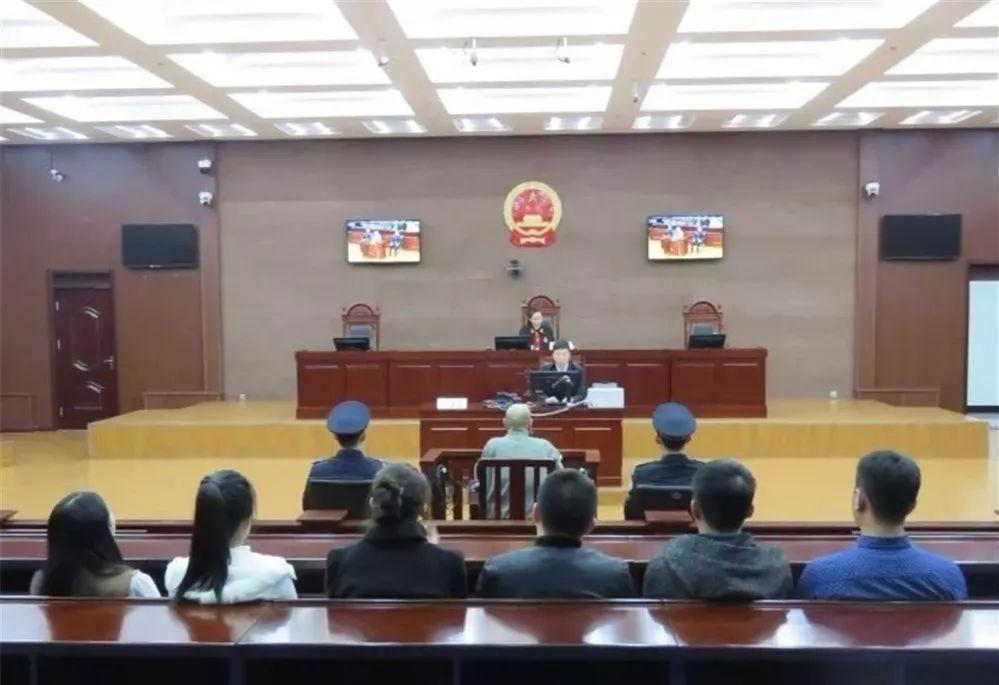 最新法官着装亮相，展现司法公正与尊重的新形象风采