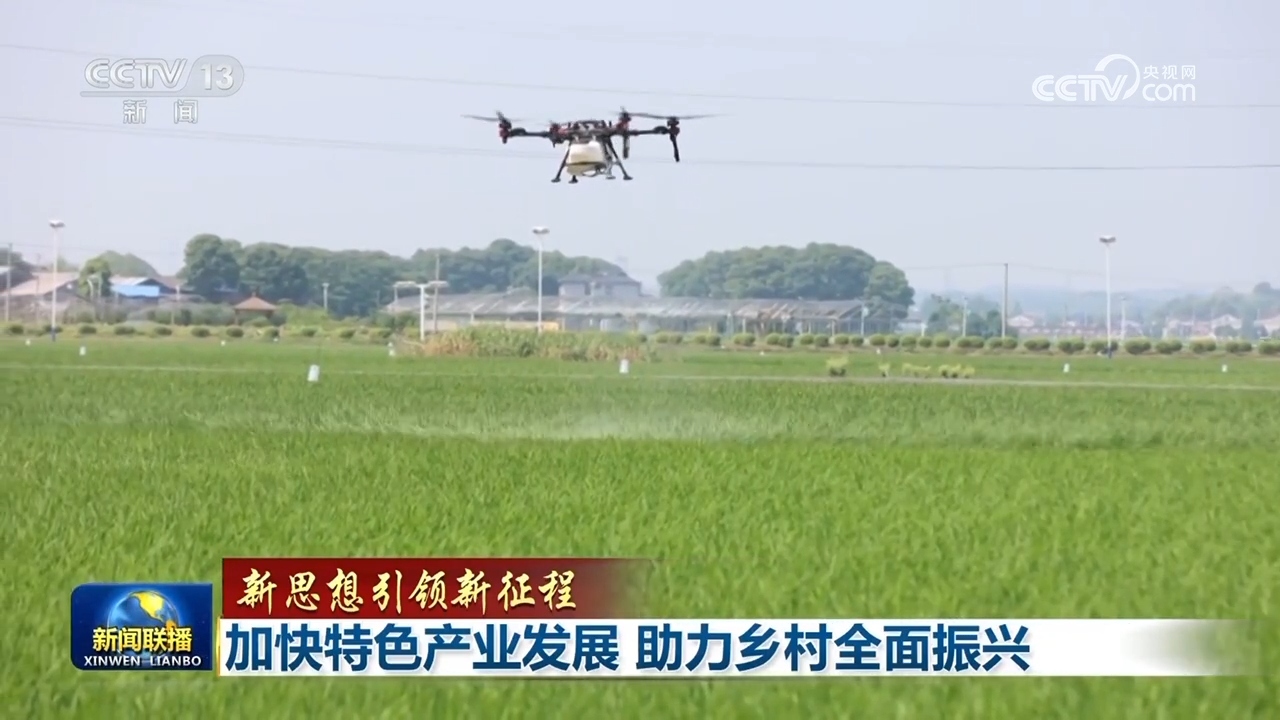 野牛坪乡搬迁进展最新更新报告