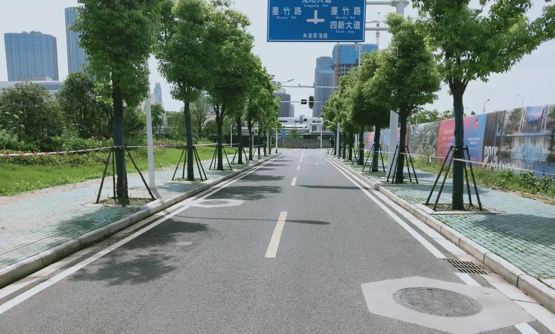 米粮市场最新动态概览
