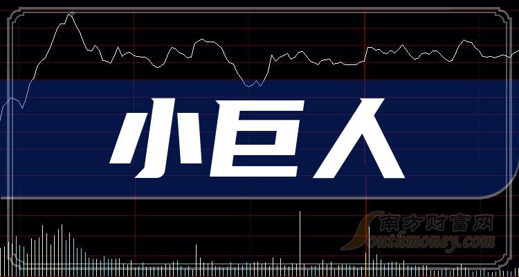 巨人股票，深度探讨其投资价值与策略