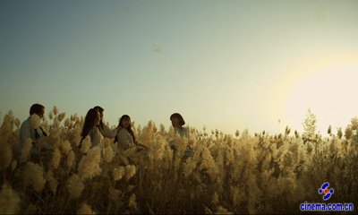 处女地电影，纯爱之旅的未知探索