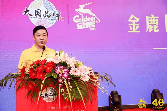 金鹿最新动态，学习之光引领未来奇妙旅程，自信与成就感的汇聚