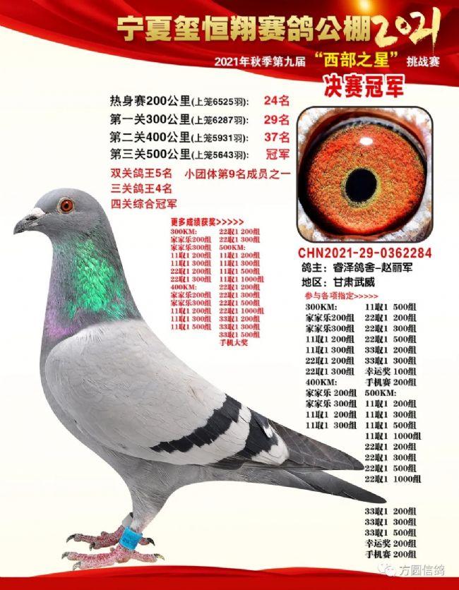 玺恒翔公棚最新公告及其观点论述解析