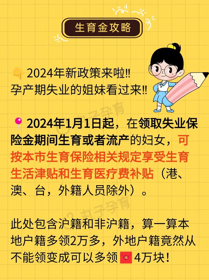 最新生育保险政策解析与观点论述