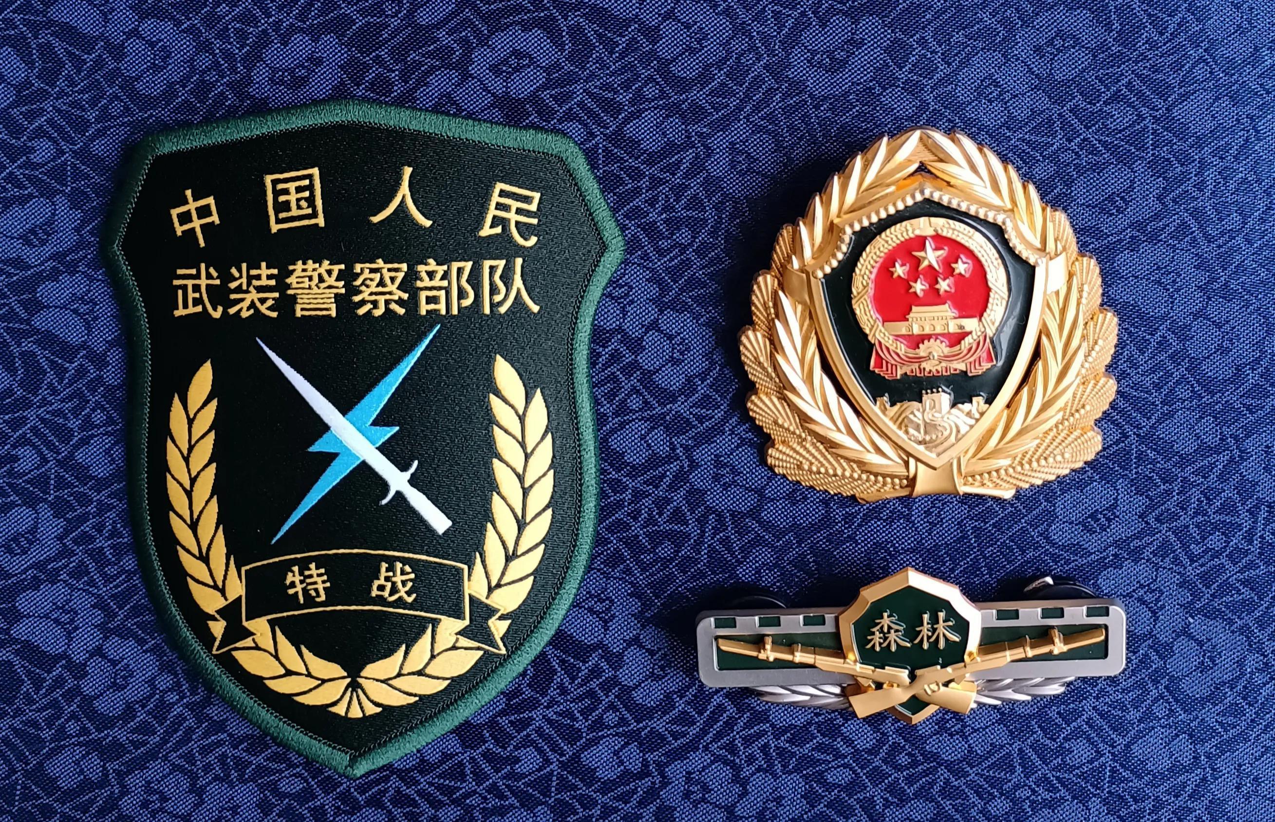 武警部队最新动态，时代印记与力量的见证