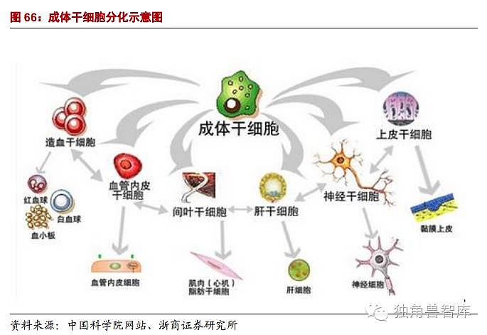 医疗护理服务 第11页