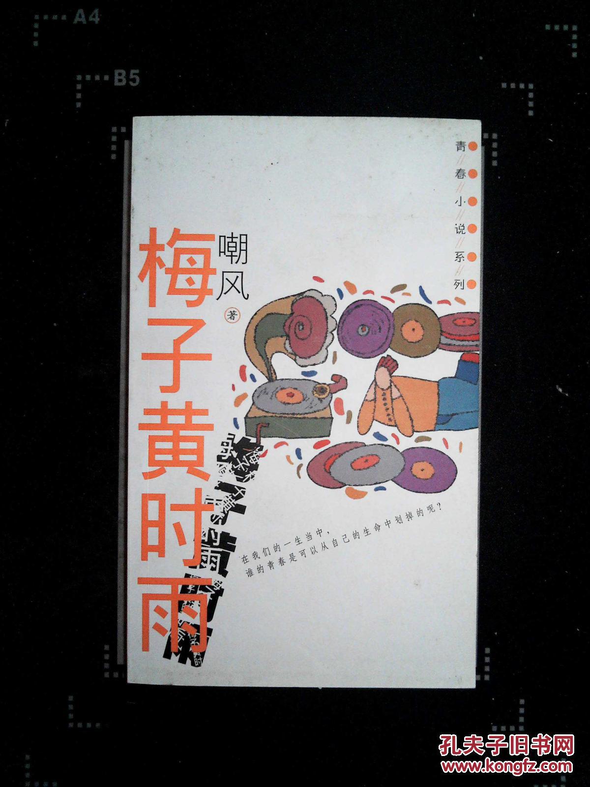 梅子黄时雨最新作品——开启智能生活新纪元