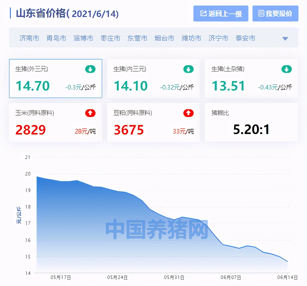 山东棉花价格最新行情与心灵自然之旅的交融体验