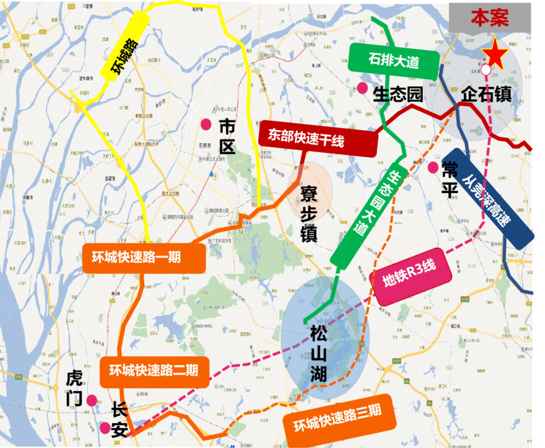 卓杏生最新动态，成功背后的故事揭晓