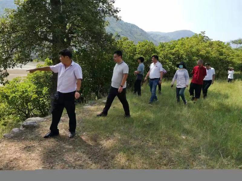 洞口火车站最新动态，启程探索自然美景，寻觅内心宁静之旅