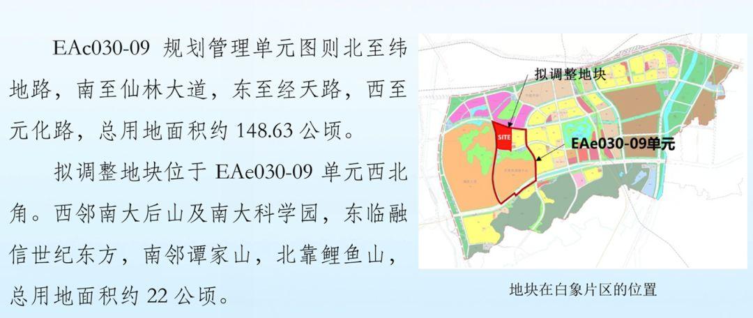 🌟南京仙林湖最新动态🌟