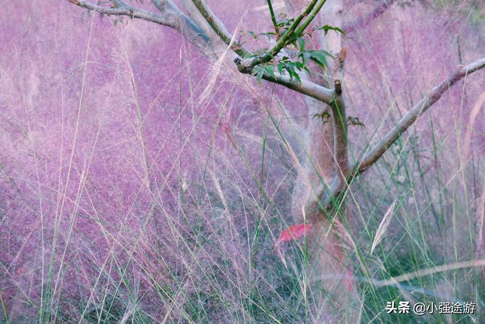 和平路西延最新动态📣彩虹消息更新🌈